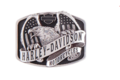 Spona Eagle wing over America buckle