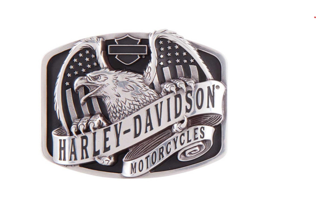 Spona Eagle wing over America buckle